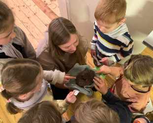 Kindergeburtstag Igel