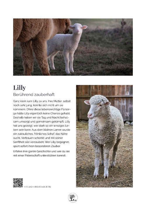 Kalender 2026 Lilly