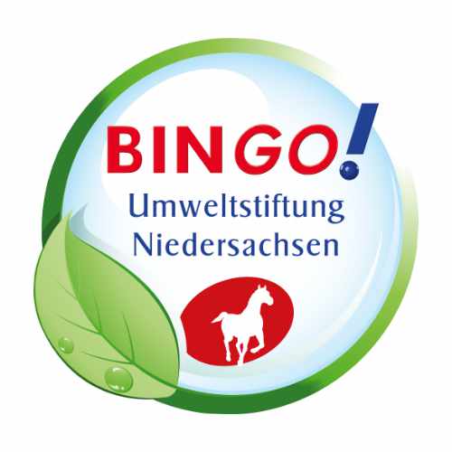 Logo Bingo 1