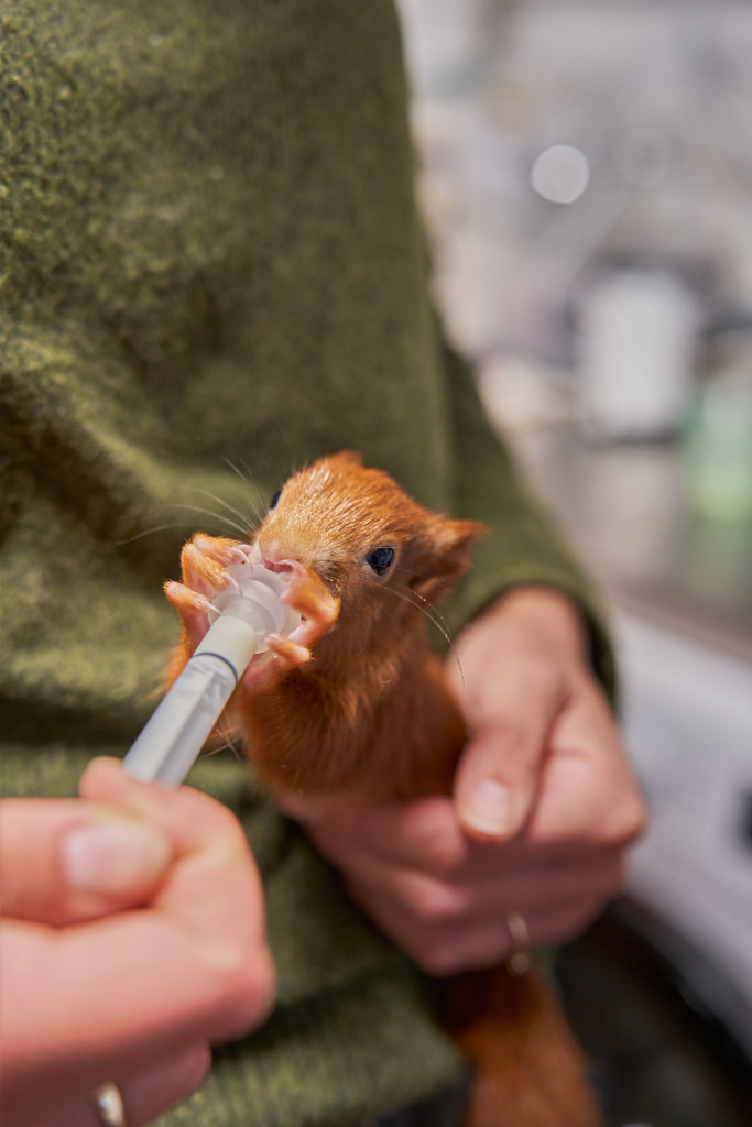 Fördermitgliedschaft