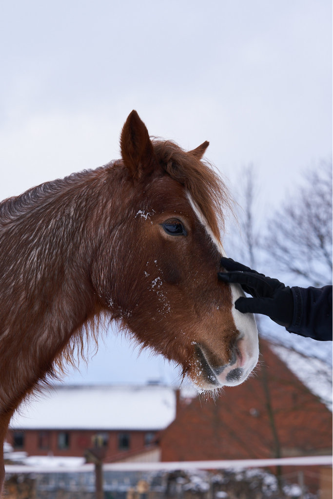 Beginn Fördermitgliedschaft