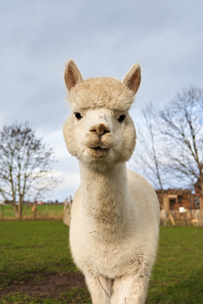 Unterstützung Patenschaften 